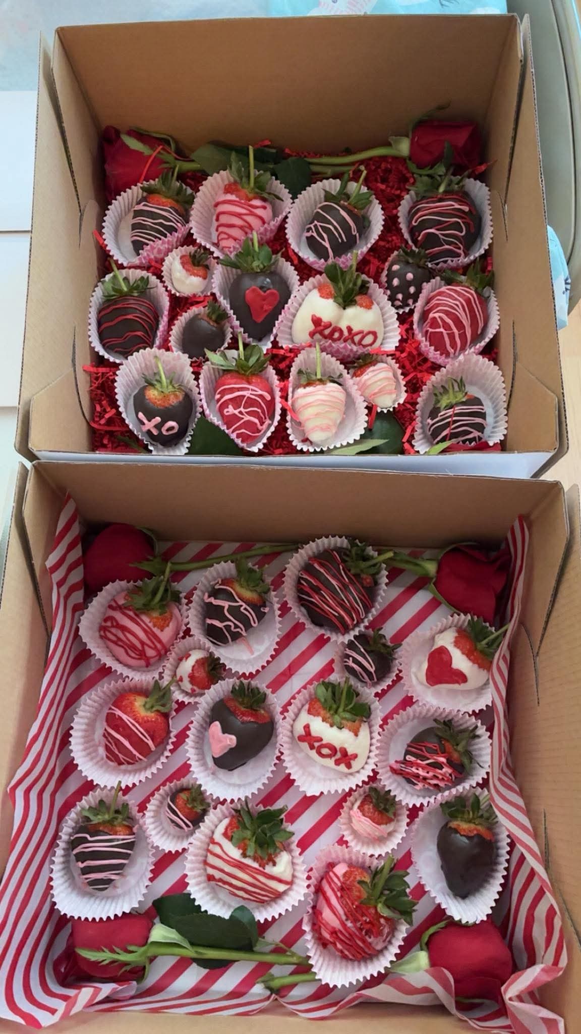 Ella Luna Bakery 