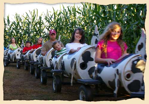 Seward Farms
