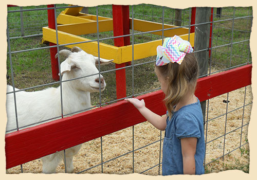 Seward Farms