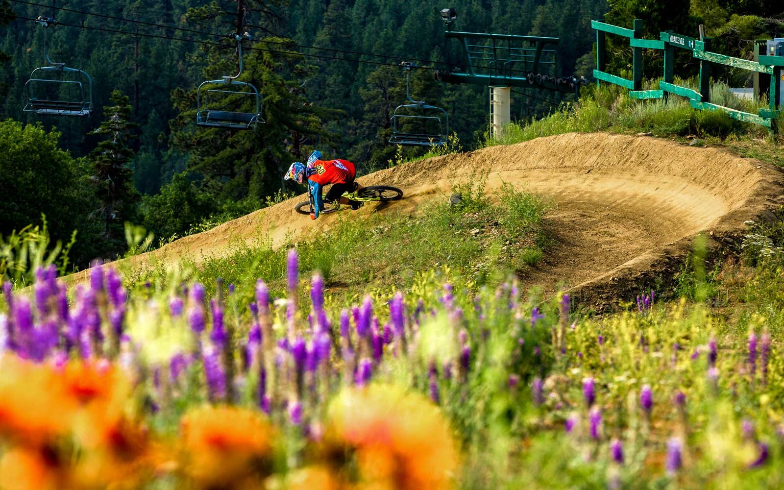 Big Bear, California