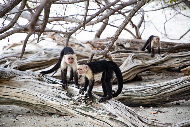 Costa Rica All-Inclusive