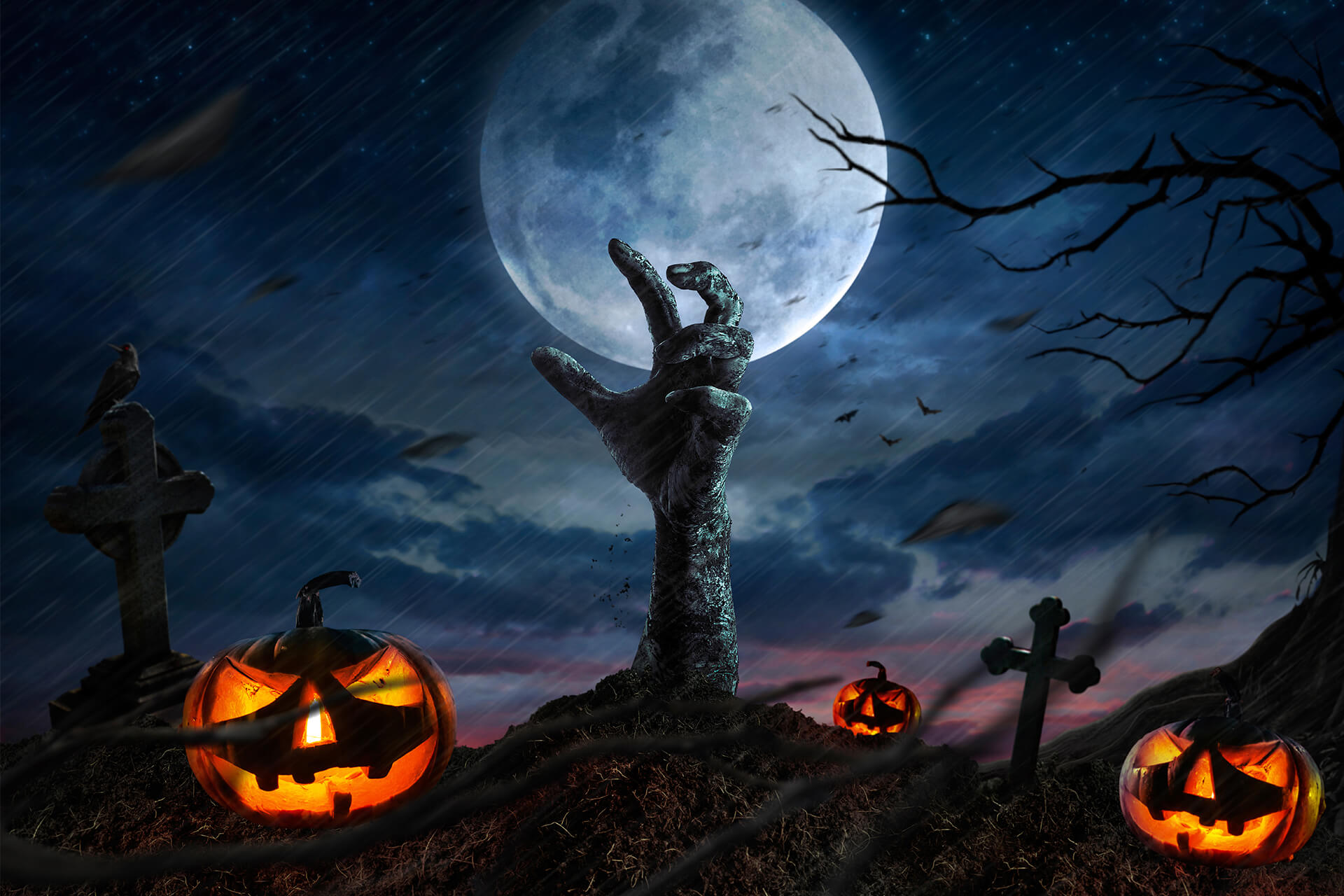 Camden Park - Halloween Spooktacular