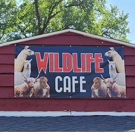 Wildlife Cafe