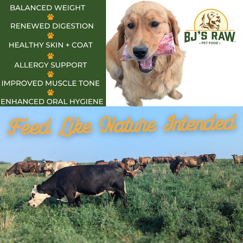 BJ's Raw Pet Food