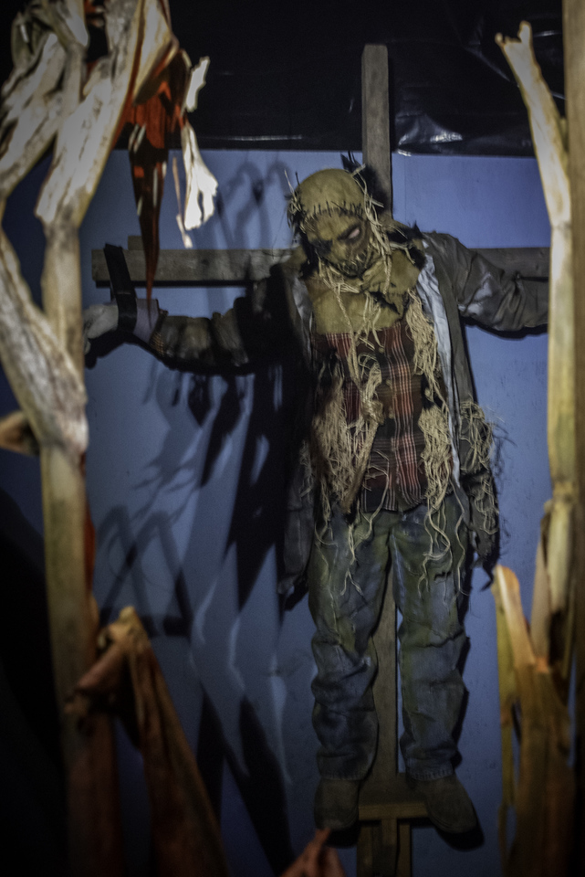 Spider Hill Haunted Attractions