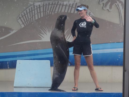 Gulfarium Marine Adventure Park