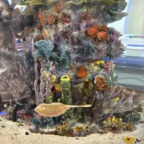 The Loft at Picker's