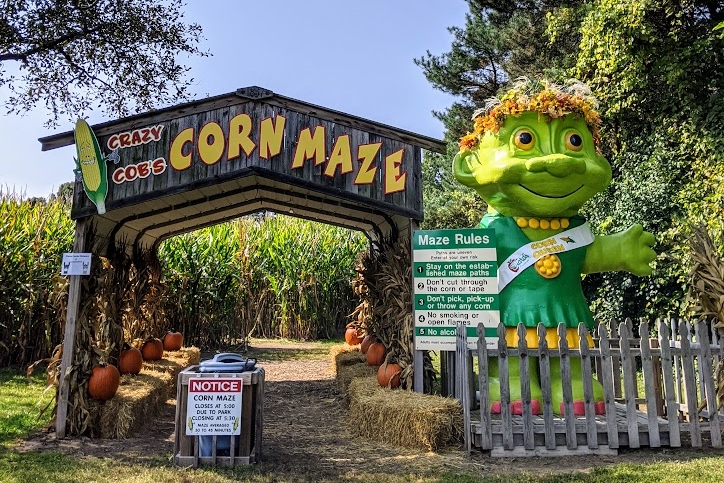 Wiard’s Country Fair: Day Tickets