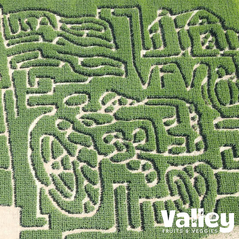 Valley Fruits & Veggies