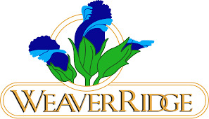 company image