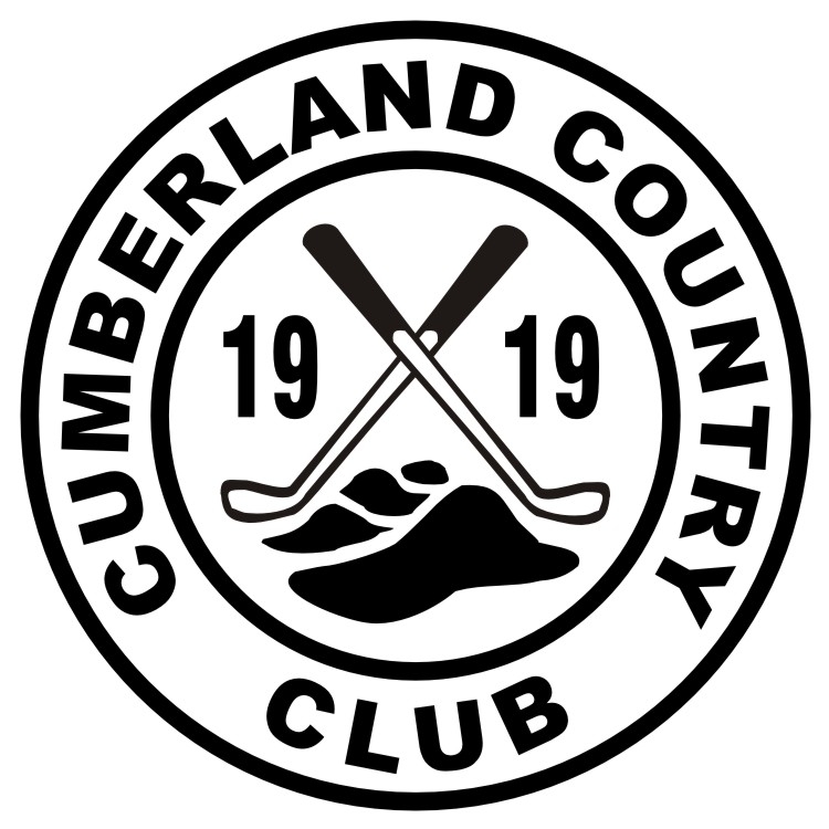 company image